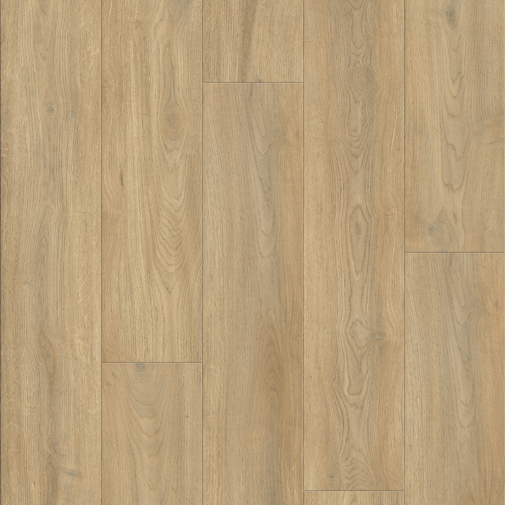 AP6502 - Suva