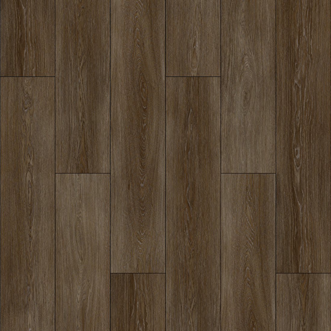 AP6509 - Motta