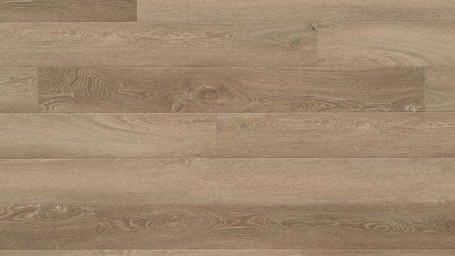 Beckham - 43234