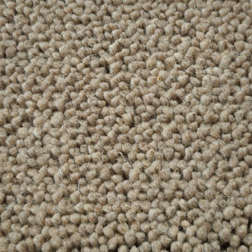 Vesta - Felted Cut Pile 100% Wool