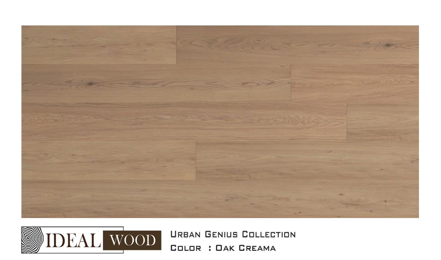 Oak Creama- 22L07