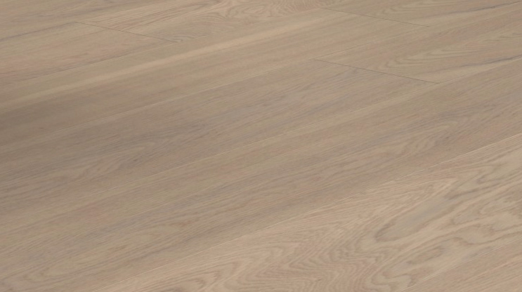 Oak Oasis- 22J10