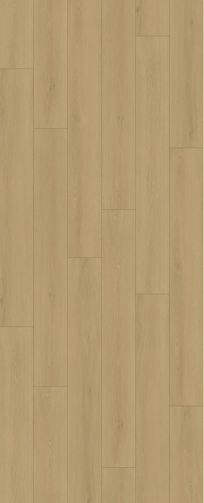 Koa - AE1210