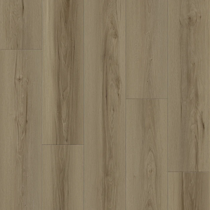 Dolly - MS7503