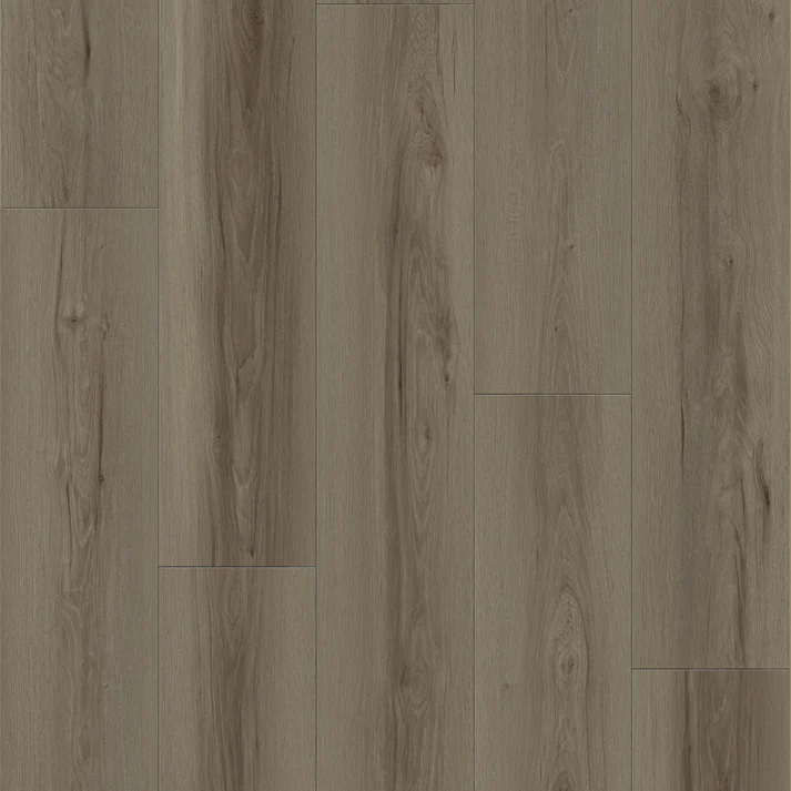 Pavard - MS7511