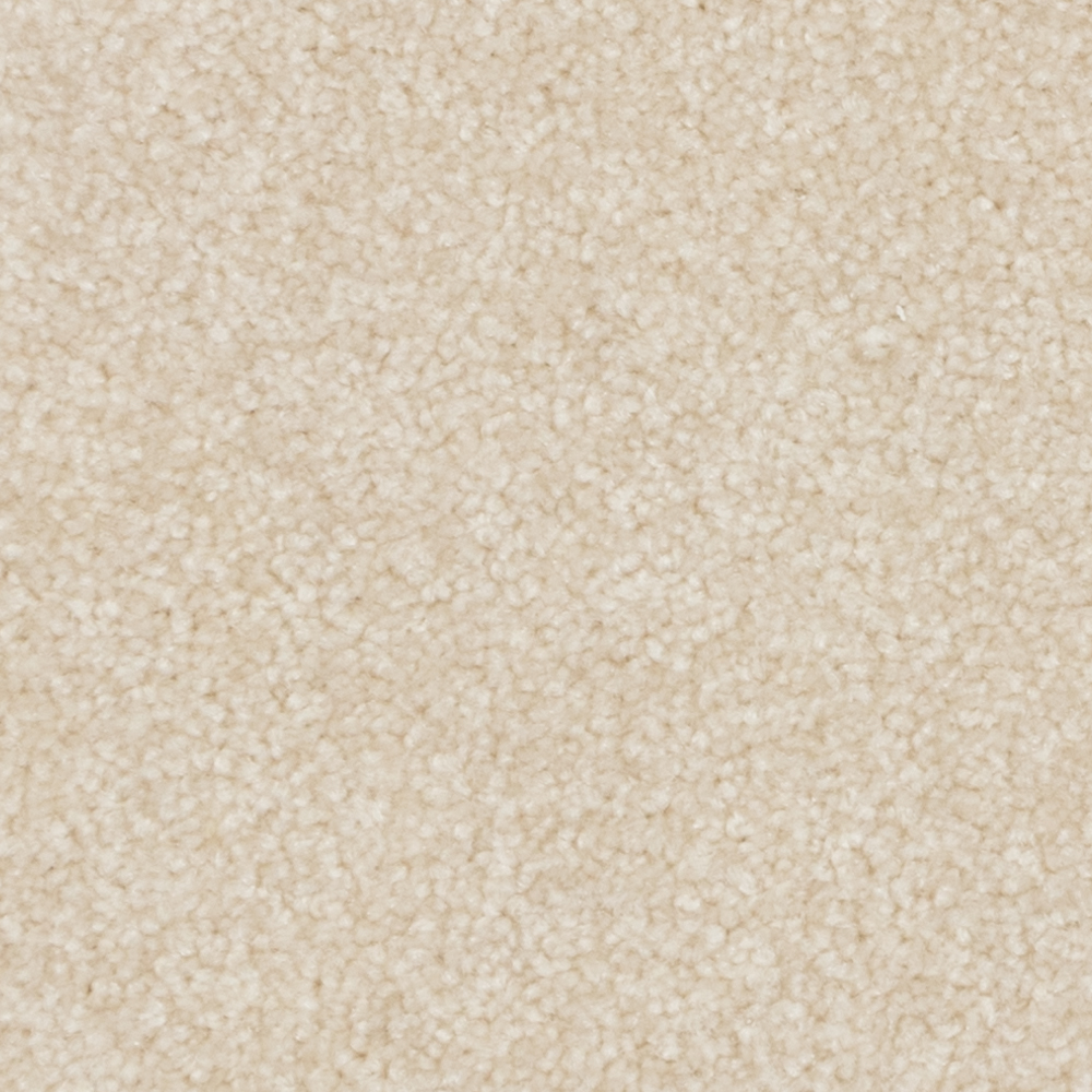 Soft Cameo - 17185