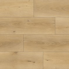 CANVAS (BGE)