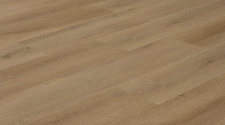 Le Gay - EC28940