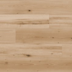 MAPLE DAYTON (BGE/BRN)