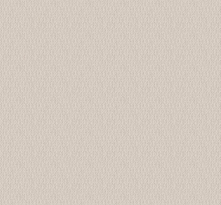 CANVAS - 00103