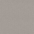 WARM GREY - 00104