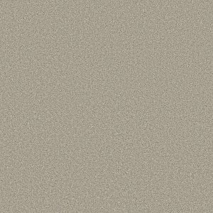BLEACHED OAK  - 00108