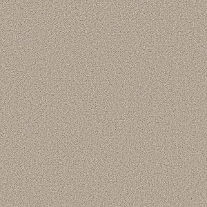 SUGAR COOKIE  - 00107