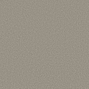 STONE PATH  - 00505
