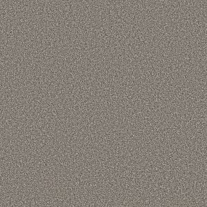 TREE BARK - 00507