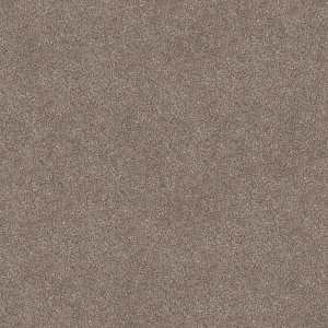 TAUPE DREAM - 00705